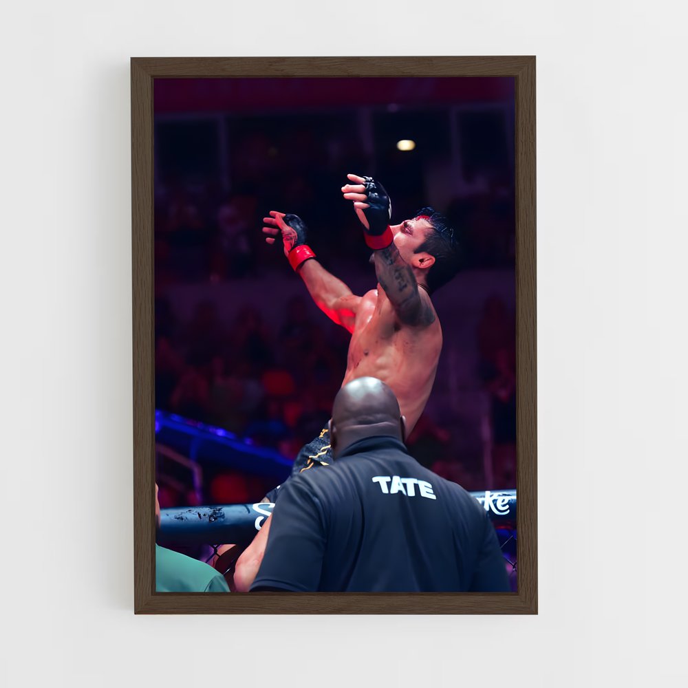 Poster Alexandre Pantoja – affiche MMA (vue 5)